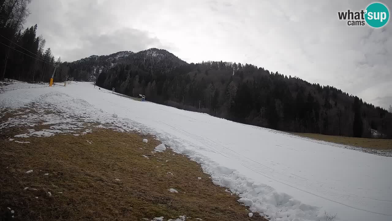 Kranjska Gora SKIJANJE | Brsnina
