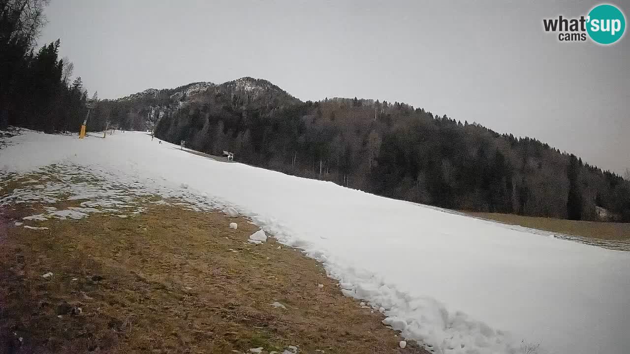 RTC Skigebiet Kranjska Gora | Brsnina