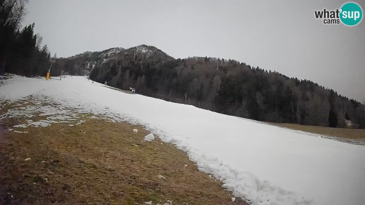 Kranjska Gora SKIJANJE | Brsnina