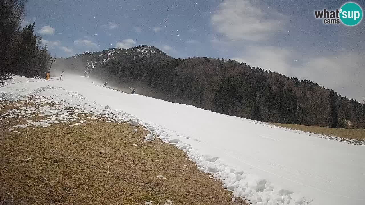 Kranjska Gora Station de ski | Brsnina