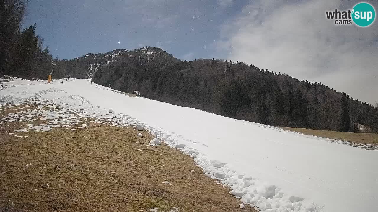 RTC Kranjska Gora | Brsnina