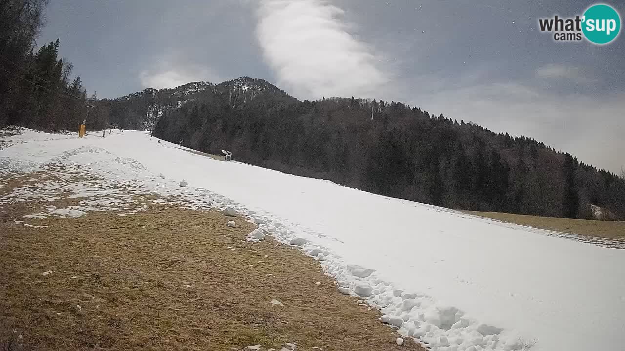 RTC Kranjska Gora | Brsnina