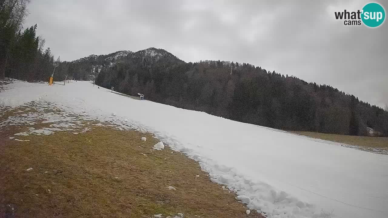 Comprensorio sciistico Kranjska Gora | Brsnina