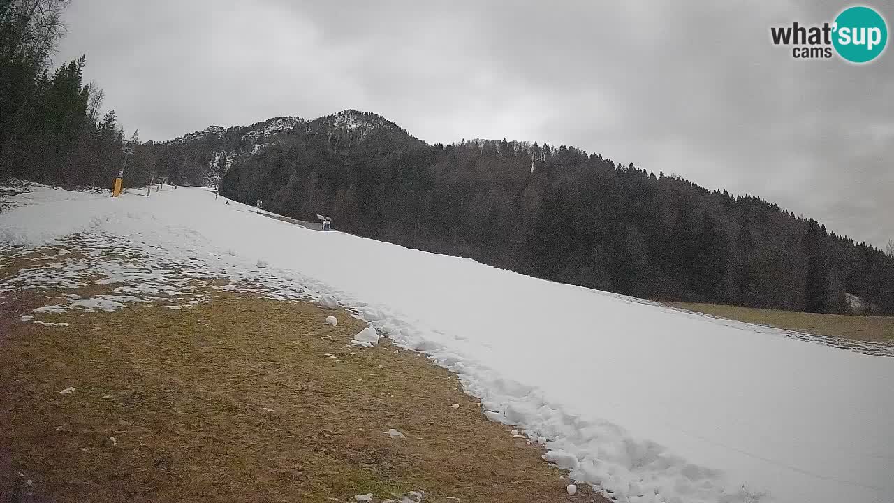 Ski Kranjska Gora | Brsnina