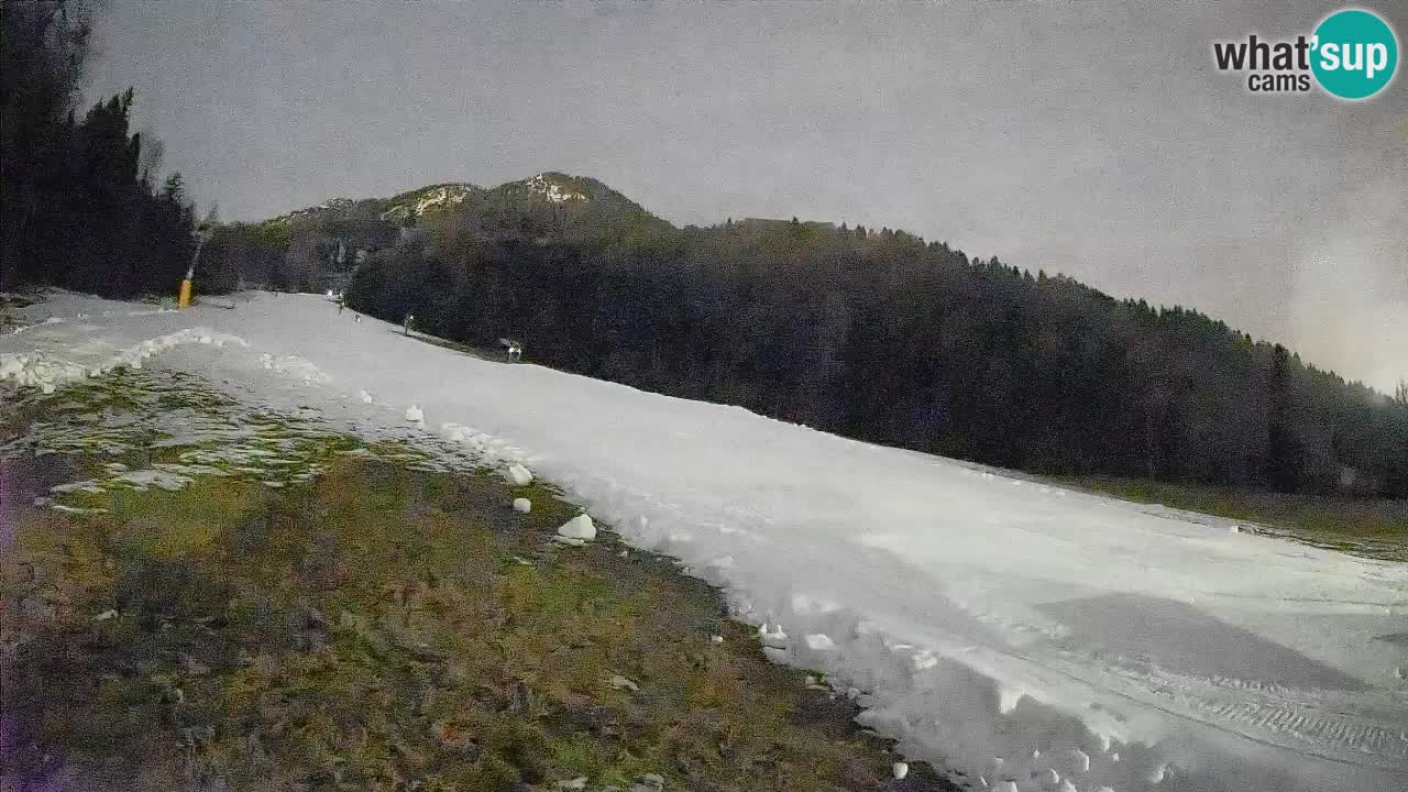 Esquí Kranjska Gora | Brsnina