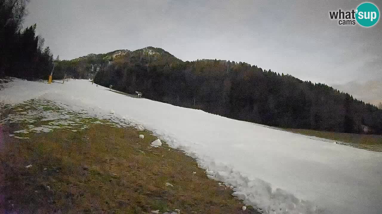 RTC Kranjska Gora | Brsnina