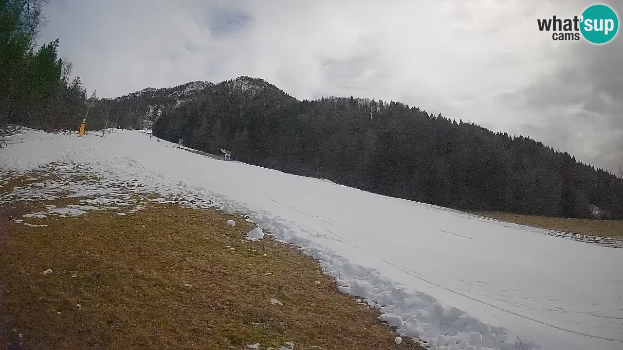 Ski Kranjska Gora | Brsnina