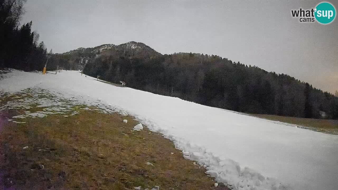 Ski Kranjska Gora | Brsnina