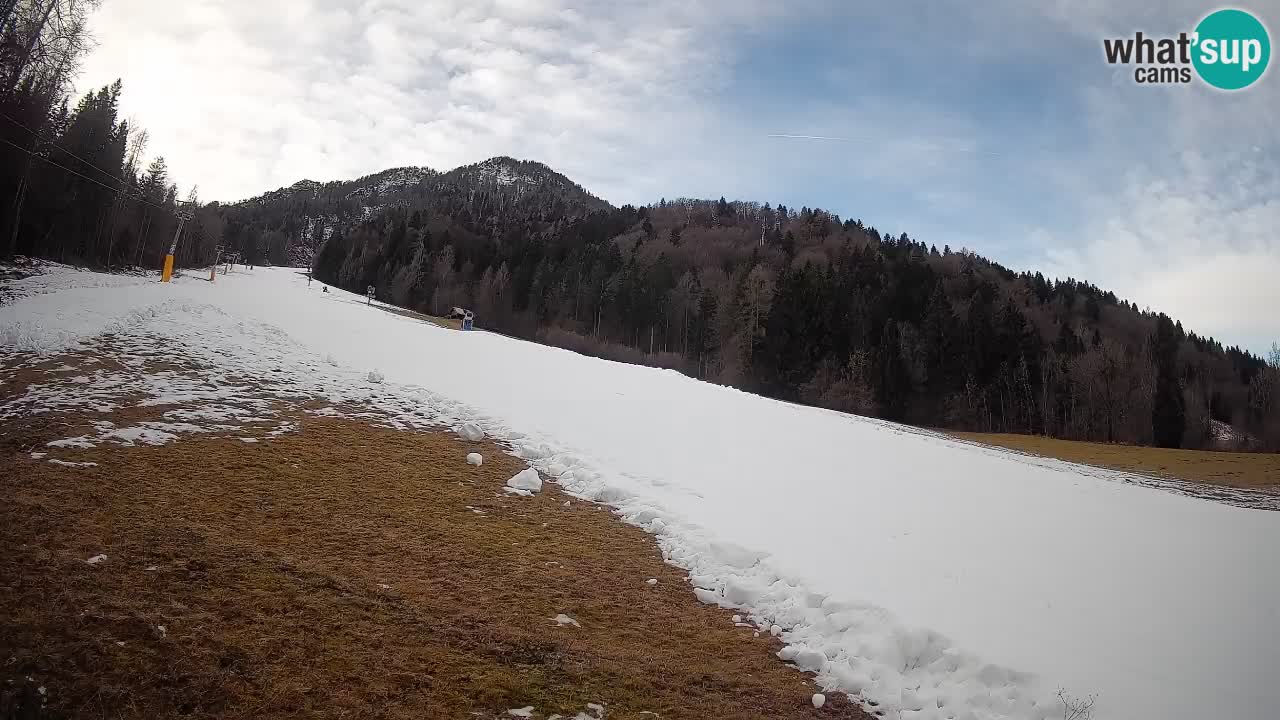 Esquí Kranjska Gora | Brsnina