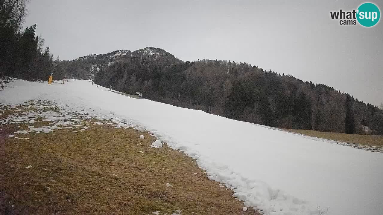 RTC Skigebiet Kranjska Gora | Brsnina