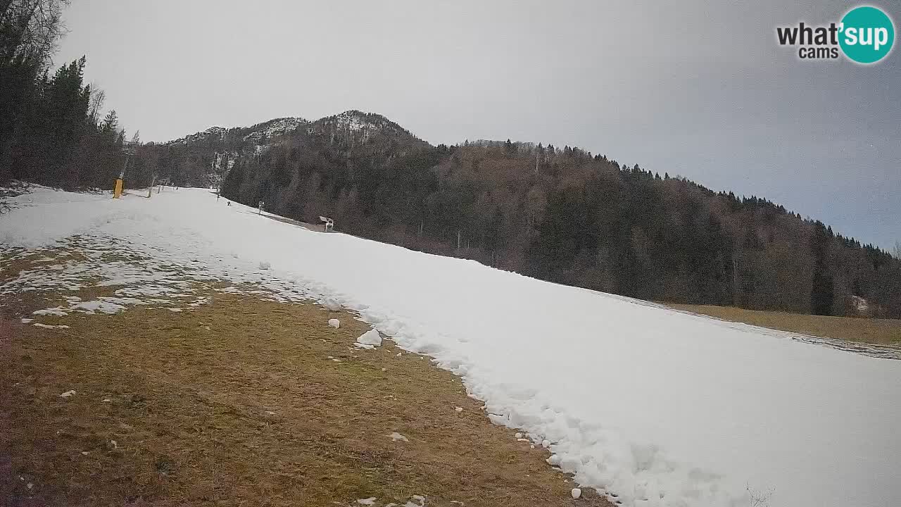 Esquí Kranjska Gora | Brsnina