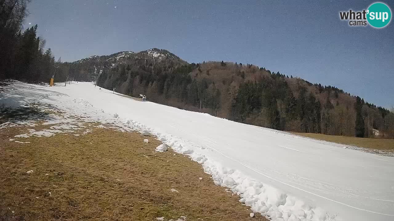 Ski Kranjska Gora | Brsnina
