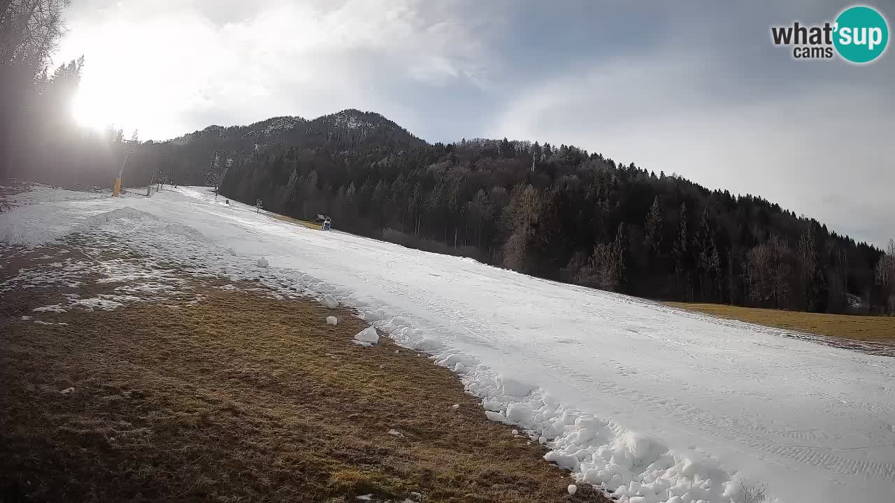 Comprensorio sciistico Kranjska Gora | Brsnina