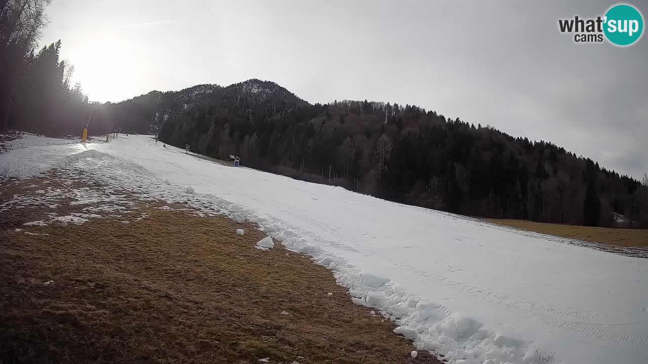RTC Skigebiet Kranjska Gora | Brsnina