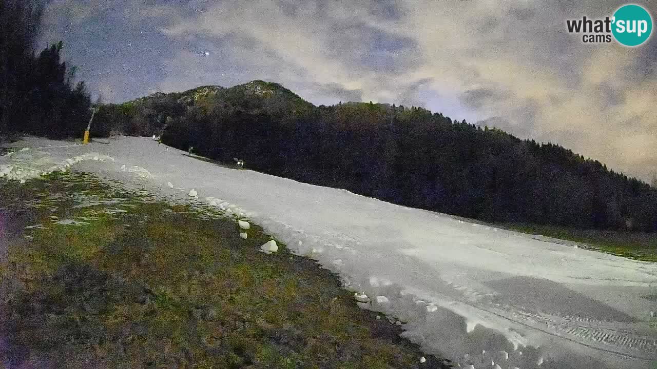 Ski Kranjska Gora | Brsnina