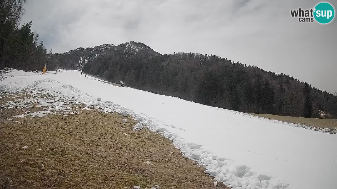 RTC Kranjska Gora | Brsnina