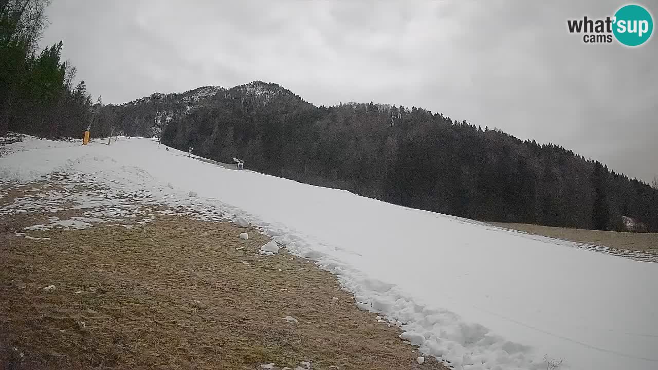 RTC Kranjska Gora | Brsnina