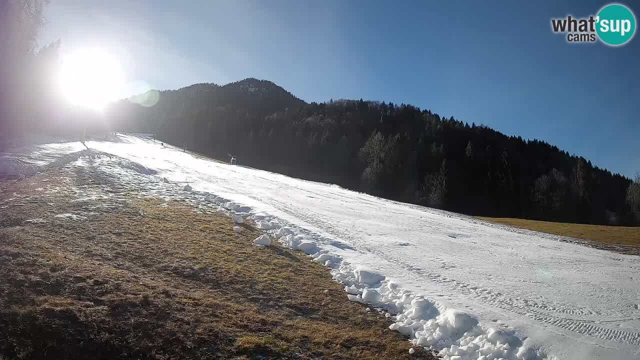 RTC Kranjska Gora | Brsnina