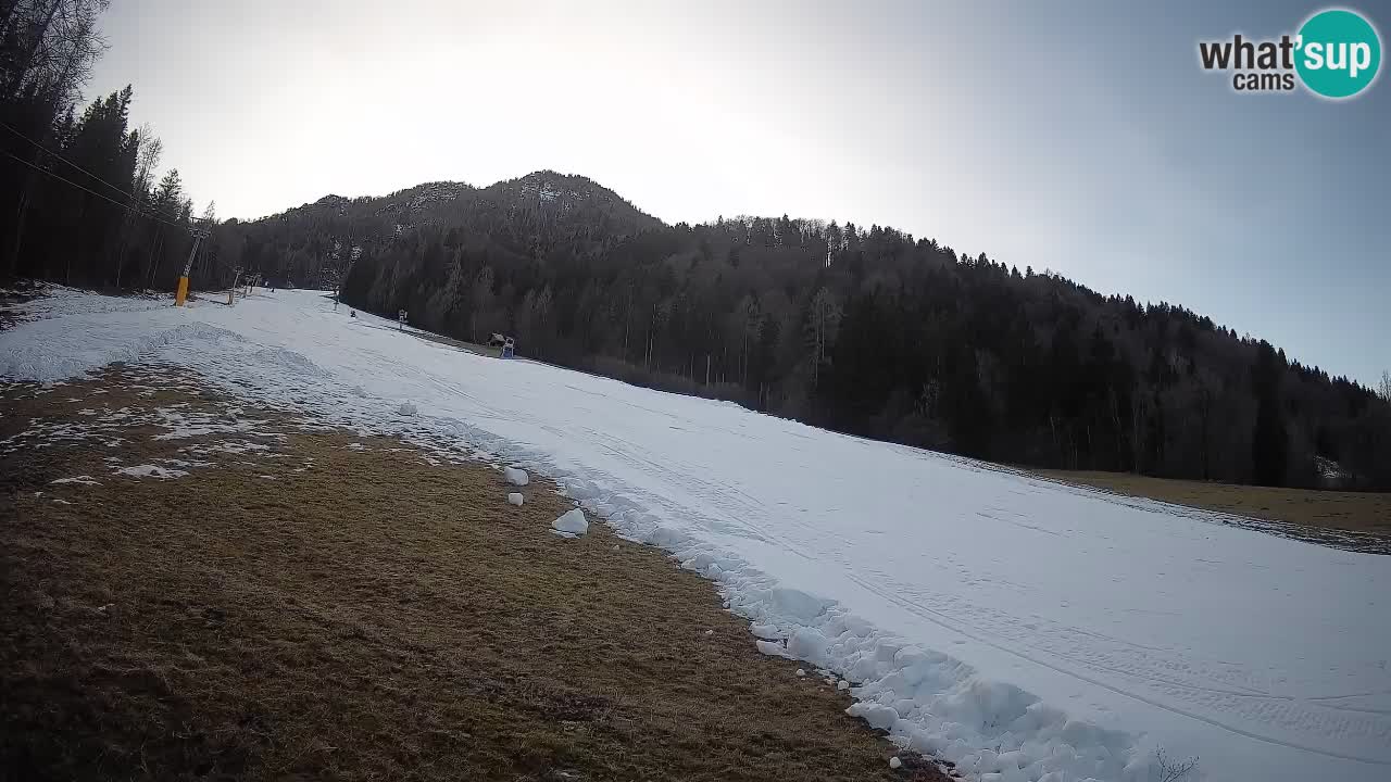 RTC Skigebiet Kranjska Gora | Brsnina