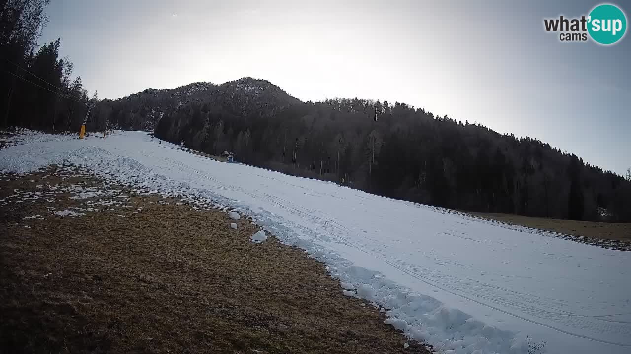 Ski Kranjska Gora | Brsnina