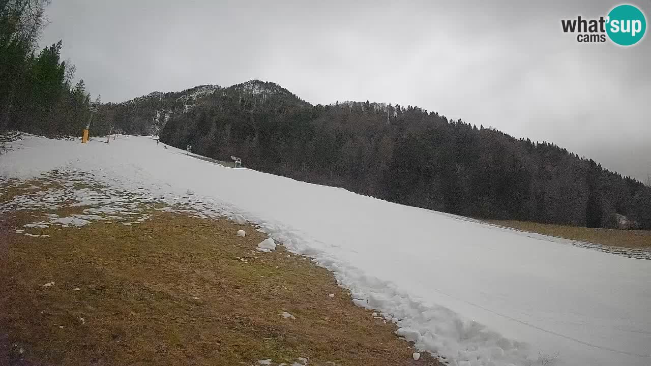 Kranjska Gora SKIJANJE | Brsnina