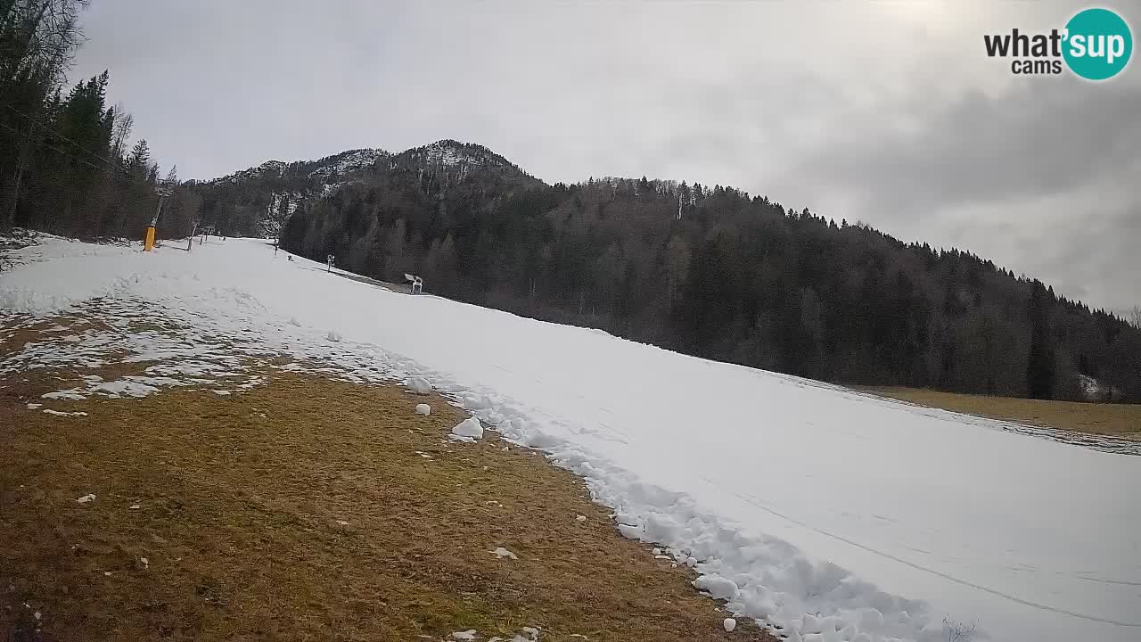 RTC Skigebiet Kranjska Gora | Brsnina