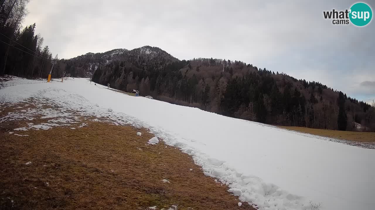 Ski Kranjska Gora | Brsnina