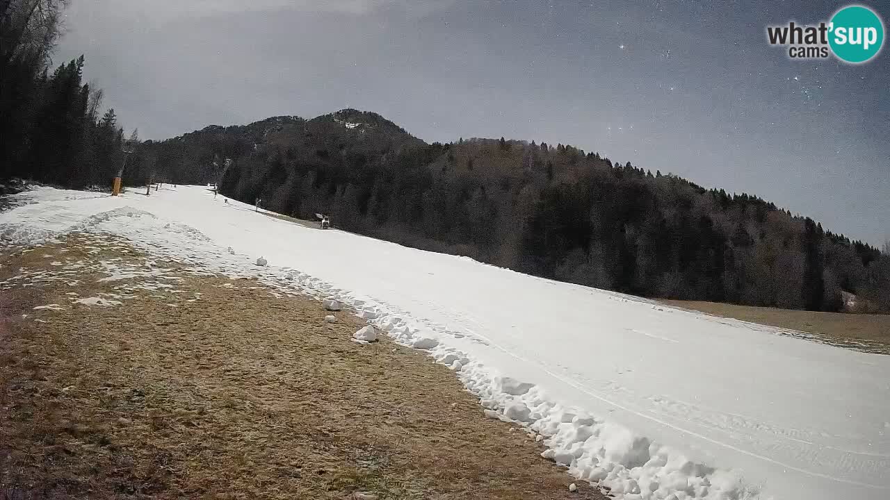 RTC Kranjska Gora | Brsnina