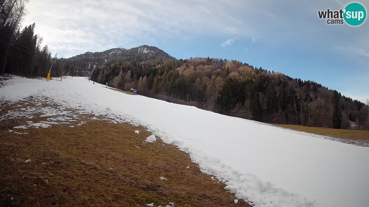 Ski Kranjska Gora | Brsnina