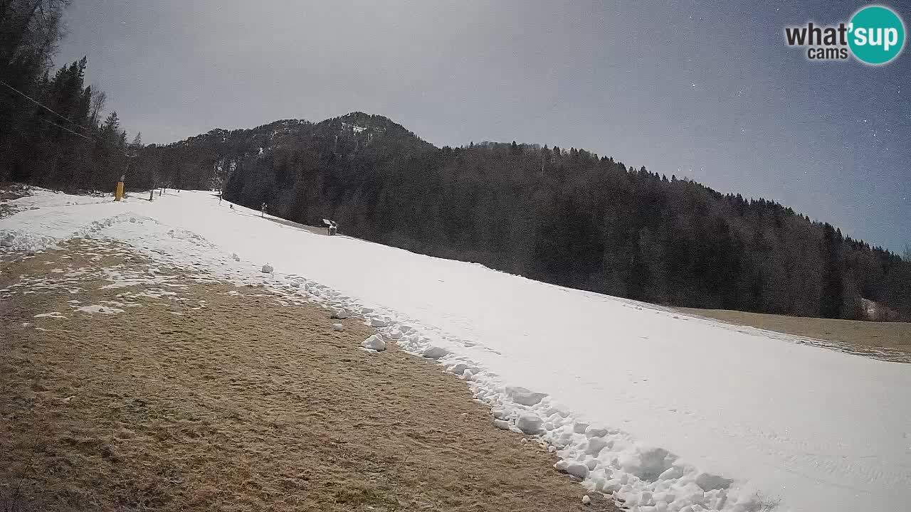 Kranjska Gora SKIJANJE | Brsnina