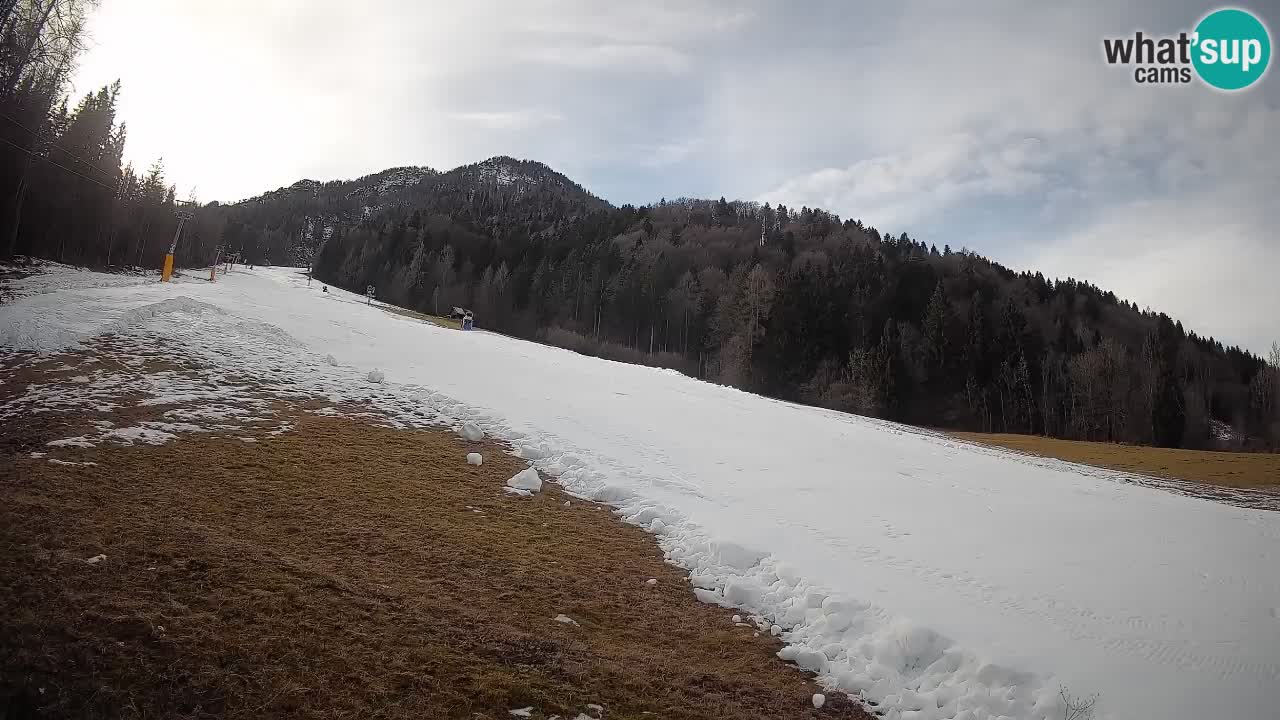 Kranjska Gora SKIJANJE | Brsnina