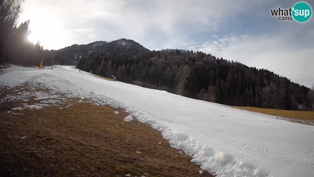 RTC Skigebiet Kranjska Gora | Brsnina
