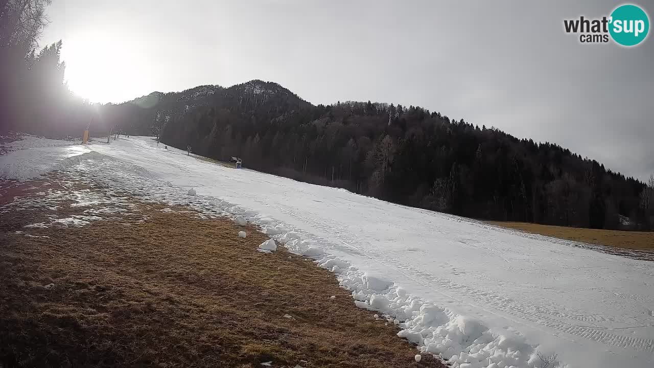 Ski Kranjska Gora | Brsnina