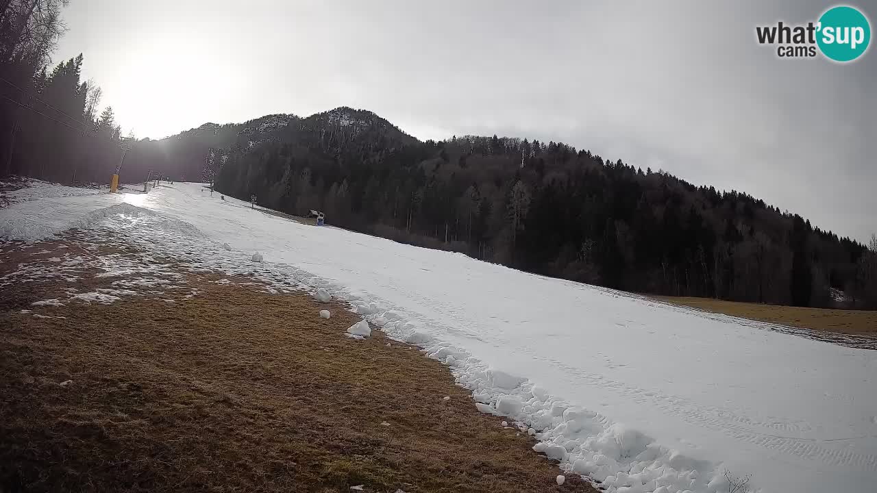 RTC Kranjska Gora | Brsnina