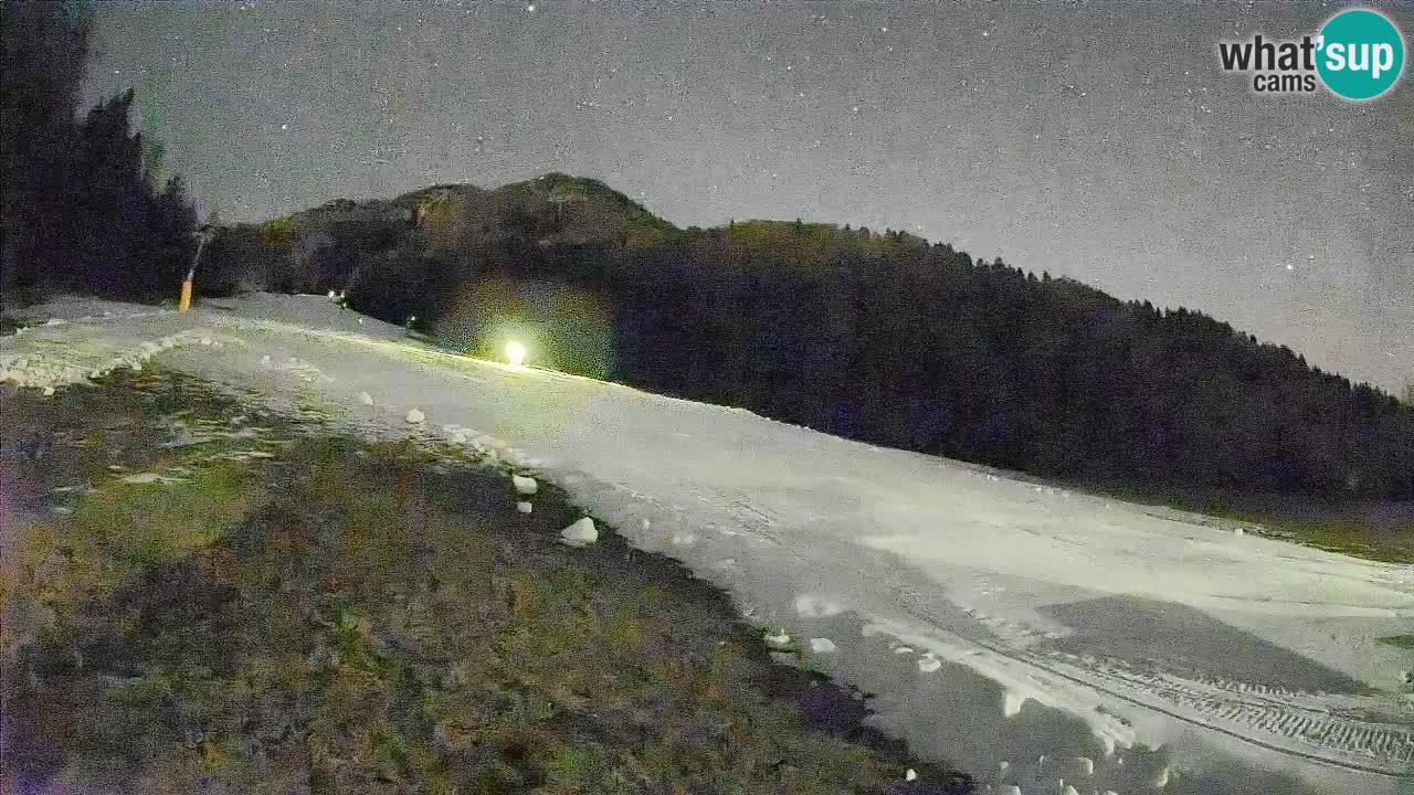 Esquí Kranjska Gora | Brsnina