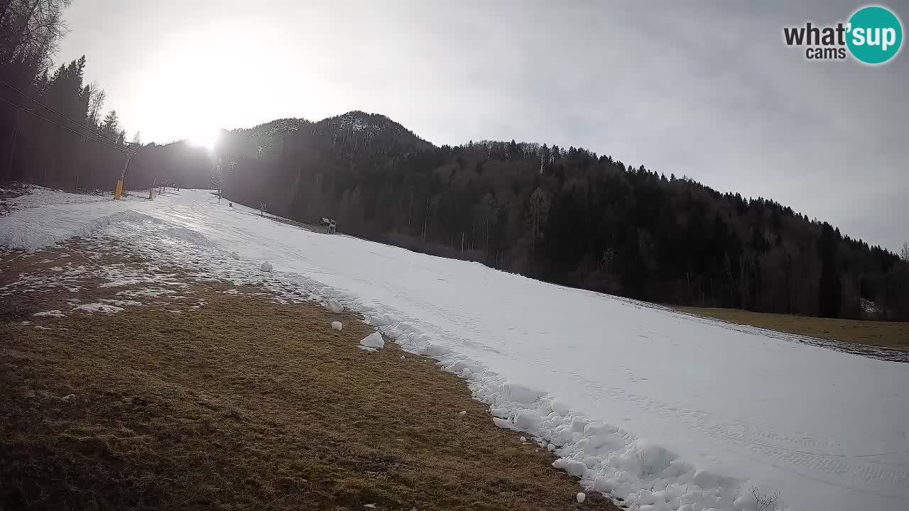 Kranjska Gora Station de ski | Brsnina