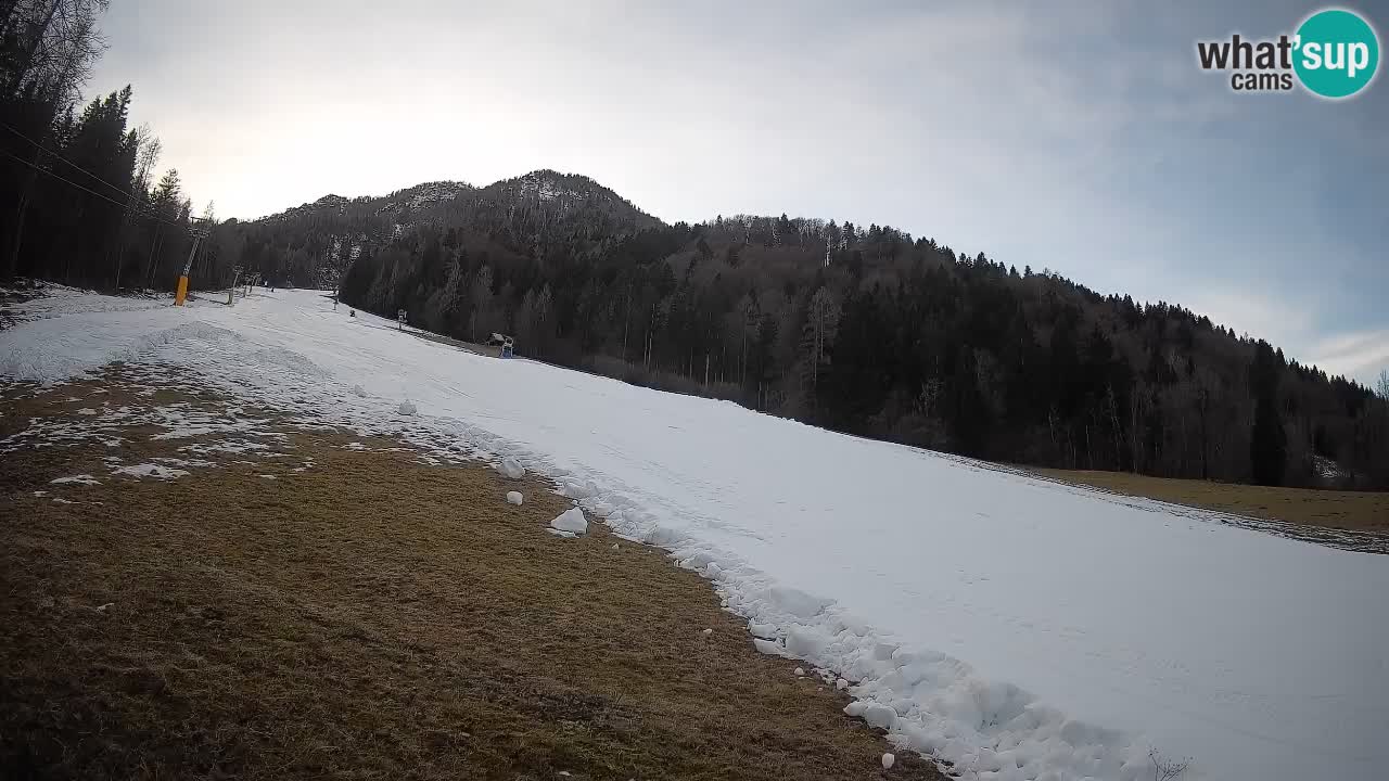 Ski Kranjska Gora | Brsnina