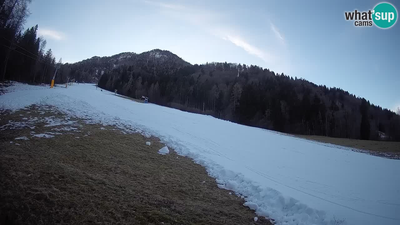 RTC Kranjska Gora | Brsnina