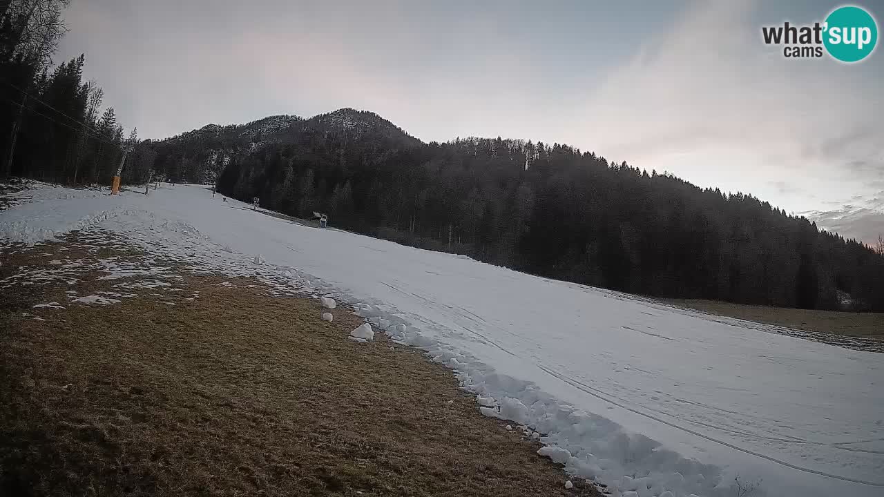 Esquí Kranjska Gora | Brsnina