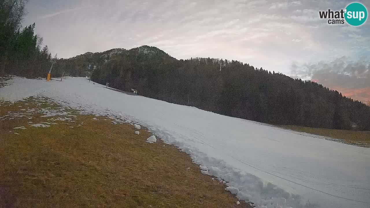 Ski Kranjska Gora | Brsnina