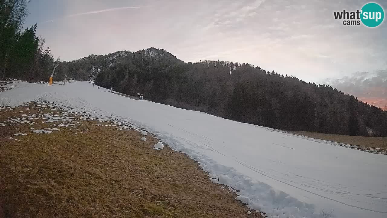 Ski Kranjska Gora | Brsnina