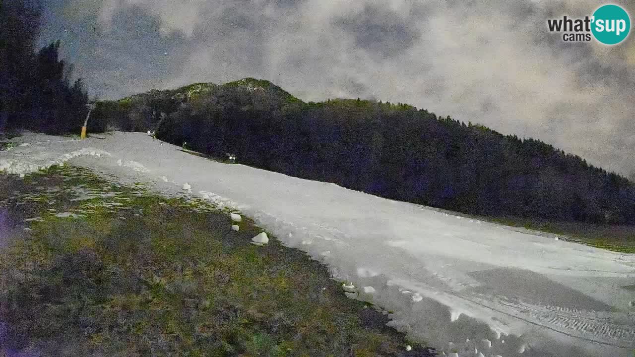 Ski Kranjska Gora | Brsnina