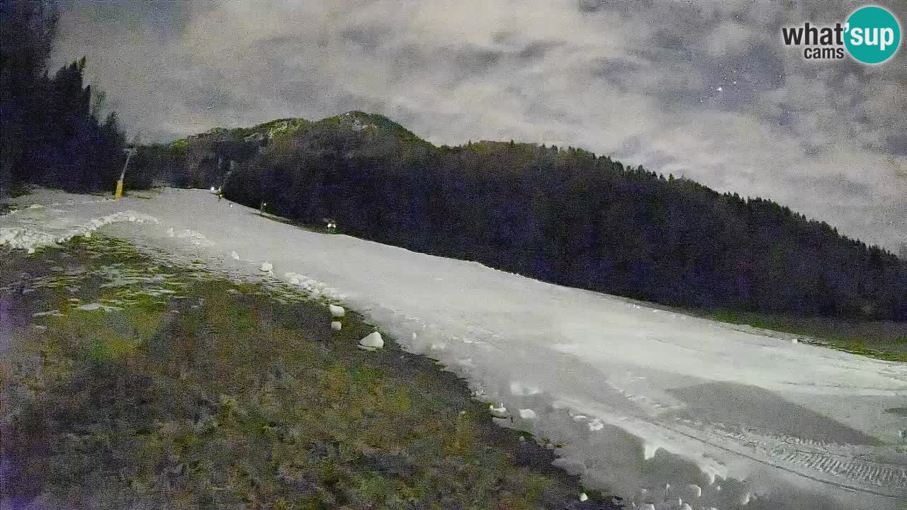 Esquí Kranjska Gora | Brsnina