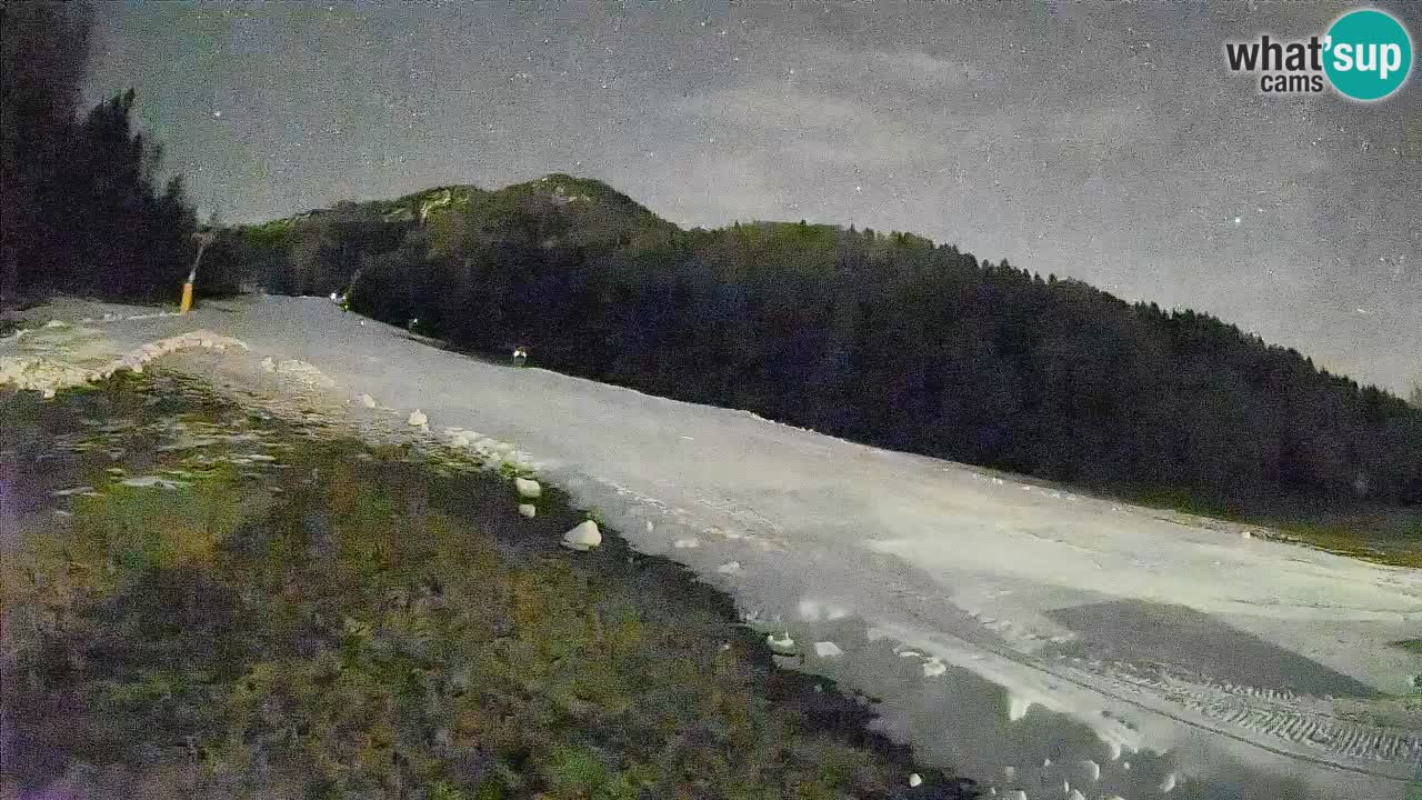 Comprensorio sciistico Kranjska Gora | Brsnina