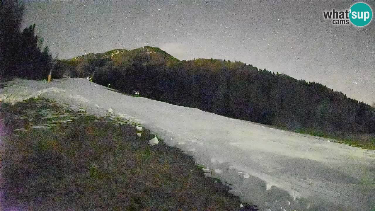 Comprensorio sciistico Kranjska Gora | Brsnina