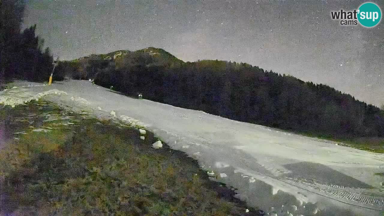 Esquí Kranjska Gora | Brsnina