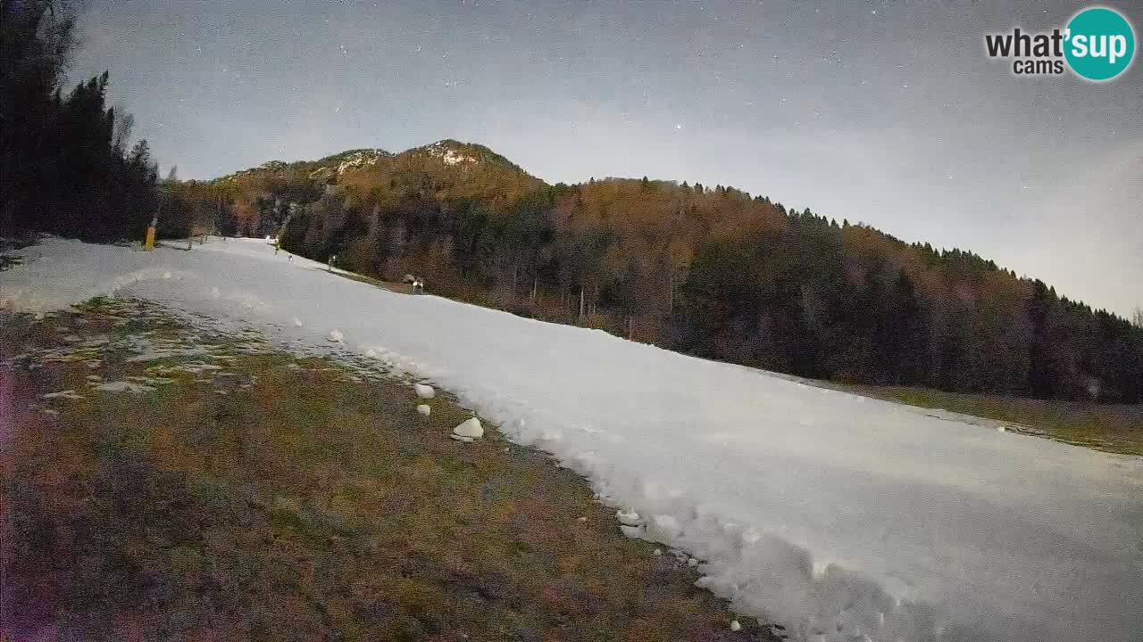 Comprensorio sciistico Kranjska Gora | Brsnina