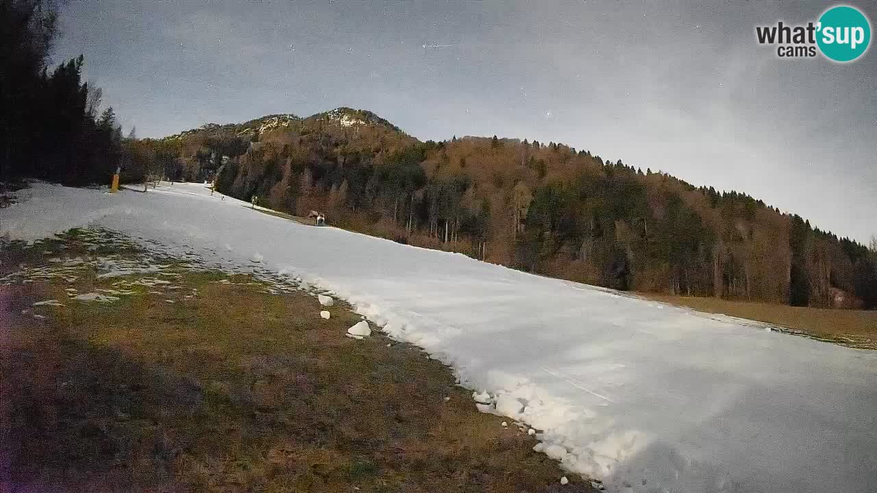 Esquí Kranjska Gora | Brsnina