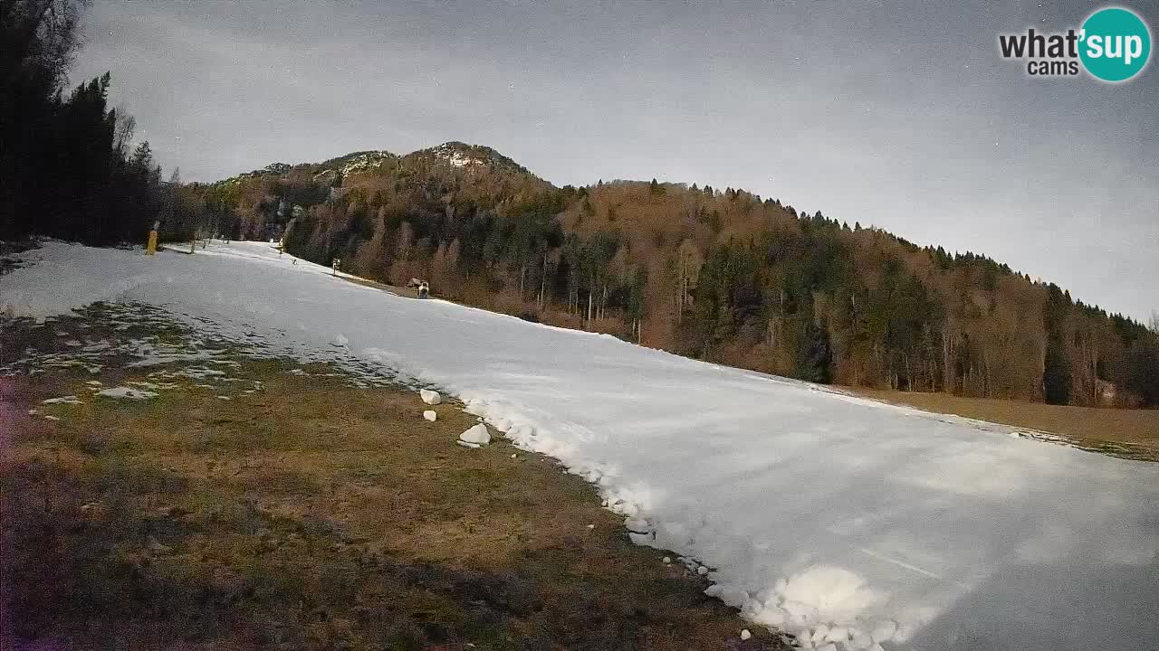 Kranjska Gora SKIJANJE | Brsnina