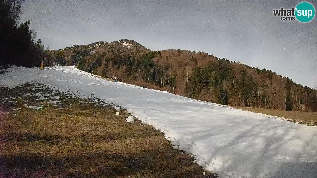 Comprensorio sciistico Kranjska Gora | Brsnina